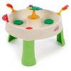 Frog Pond Water Table